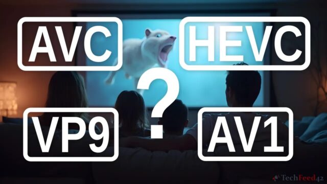 Video Codecs for Efficient Home Storage