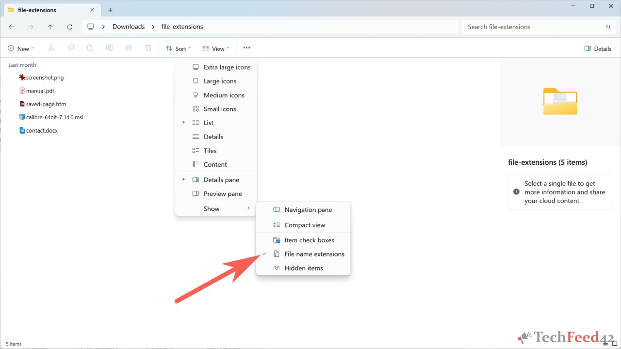 File Extensions in Windows 11